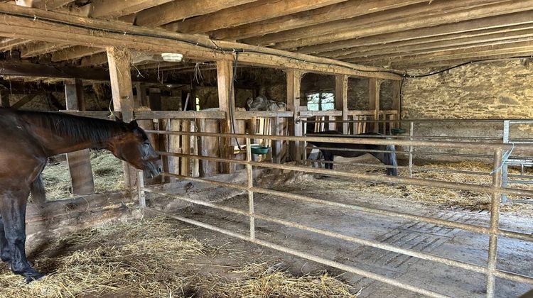 Ma-Cabane - Vente Maison VIGEOIS, 110 m²