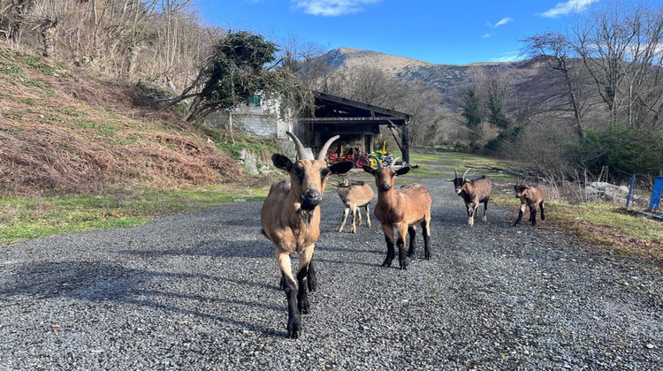 Ma-Cabane - Vente Maison VIGER, 89 m²