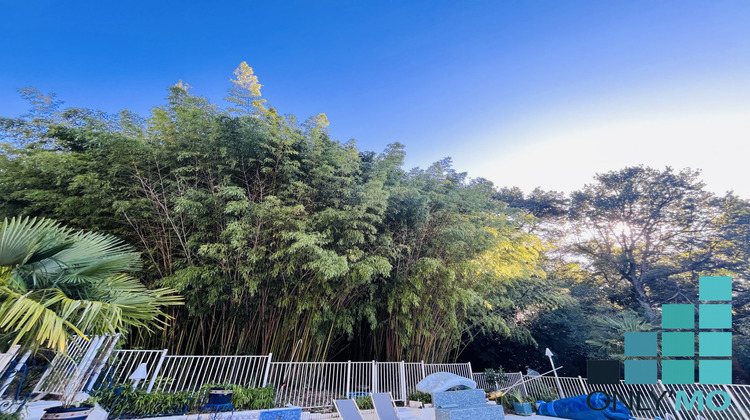 Ma-Cabane - Vente Maison Vigoulet-Auzil, 330 m²