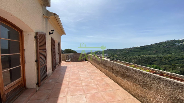 Ma-Cabane - Vente Maison Ville-di-Pietrabugno, 353 m²