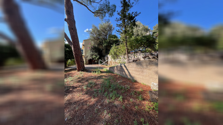 Ma-Cabane - Vente Maison Ville-di-Pietrabugno, 220 m²