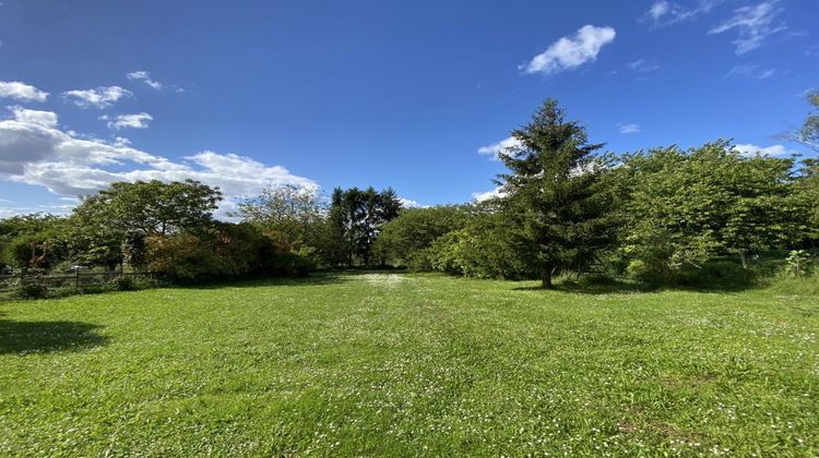 Ma-Cabane - Vente Maison VILLEBOIS LAVALETTE, 301 m²