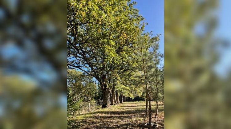 Ma-Cabane - Vente Maison Villefranche-sur-Cher, 240 m²