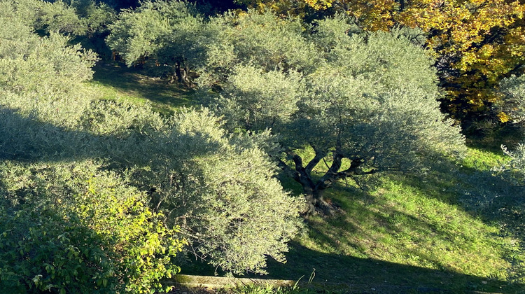 Ma-Cabane - Vente Maison Villeneuve, 170 m²
