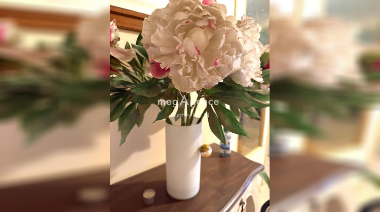 Ma-Cabane - Vente Maison VILLENEUVE SUR YONNE, 210 m²