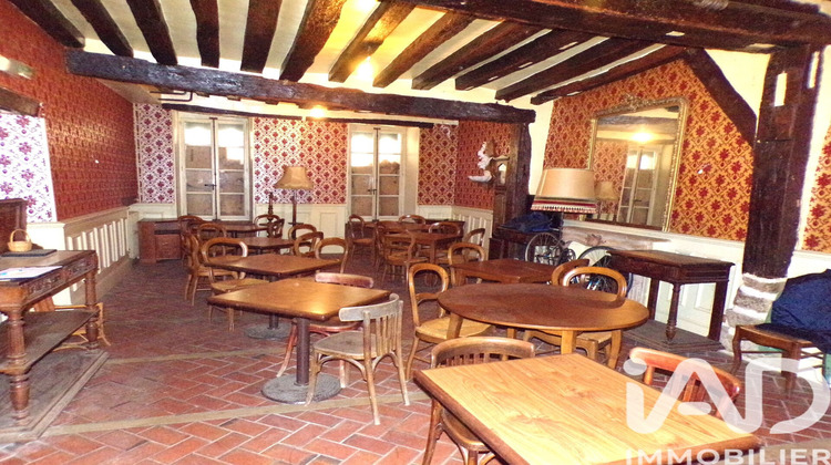 Ma-Cabane - Vente Maison Villeneuve-sur-Yonne, 444 m²