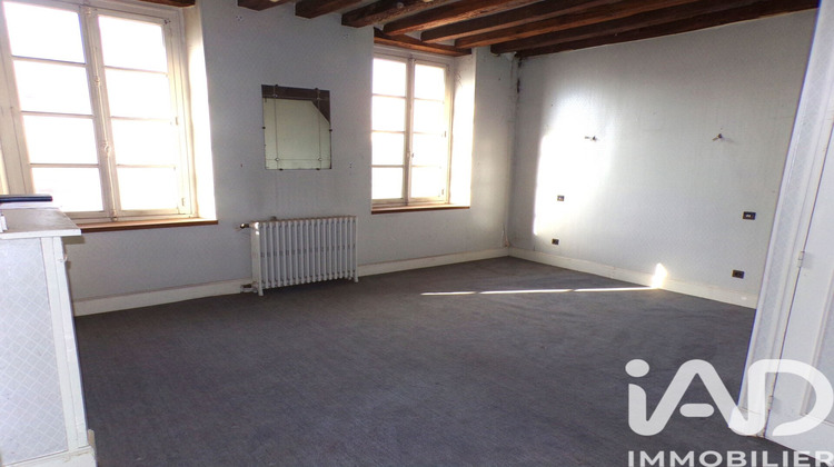 Ma-Cabane - Vente Maison Villeneuve-sur-Yonne, 444 m²