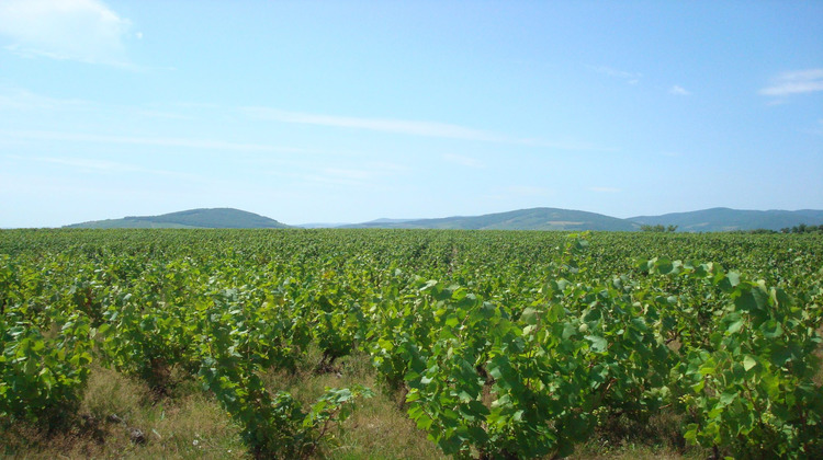 Ma-Cabane - Vente Maison Villié-Morgon, 592 m²