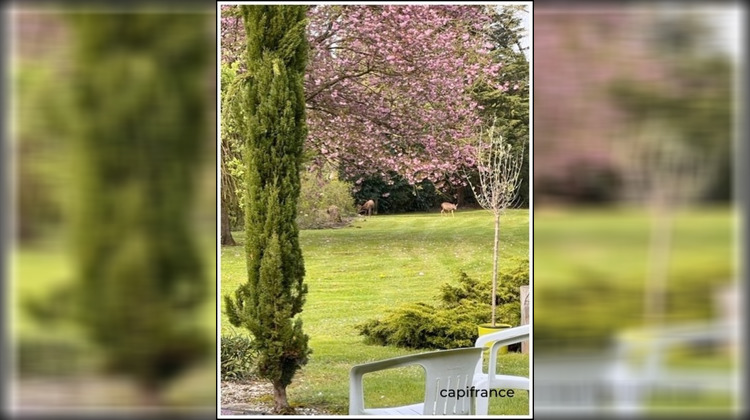 Ma-Cabane - Vente Maison VIMY, 319 m²