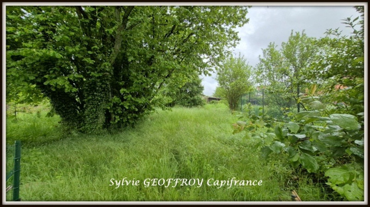 Ma-Cabane - Vente Maison VINCEY, 52 m²