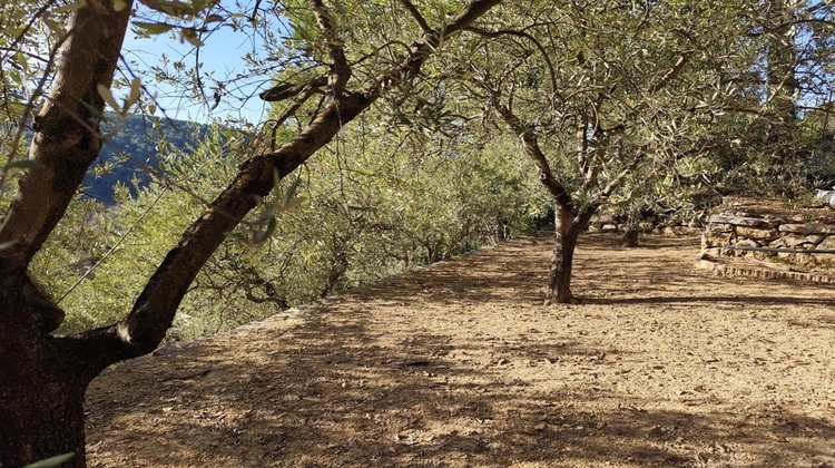 Ma-Cabane - Vente Maison VINS SUR CARAMY, 183 m²