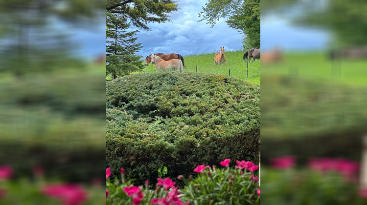 Ma-Cabane - Vente Maison Viry, 320 m²