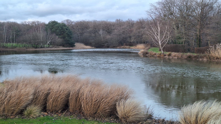 Ma-Cabane - Vente Maison Vitry-aux-Loges, 311 m²