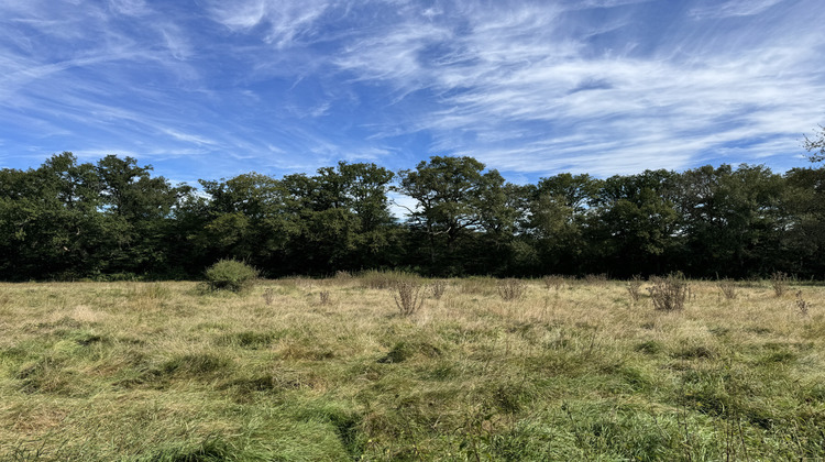 Ma-Cabane - Vente Maison Vitry-Laché, 155 m²