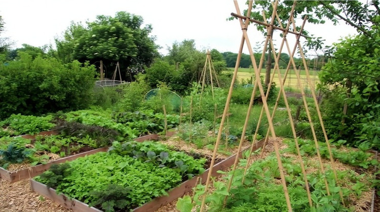 Ma-Cabane - Vente Maison VITTEL, 250 m²