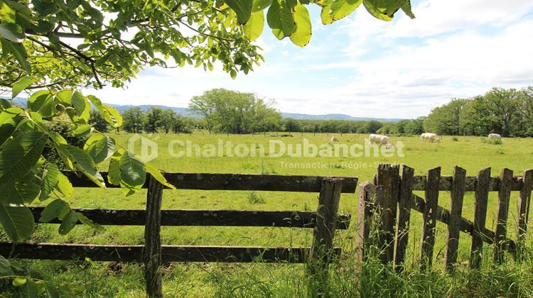 Ma-Cabane - Vente Maison VIVANS, 200 m²