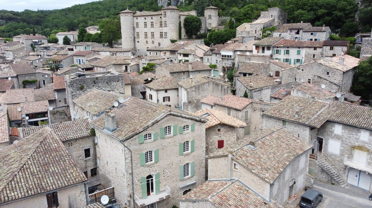 Ma-Cabane - Vente Maison Vogüé, 320 m²