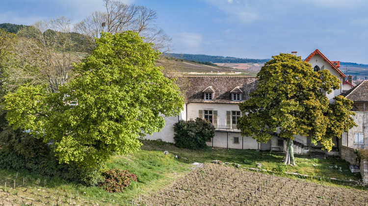 Ma-Cabane - Vente Maison Volnay, 215 m²