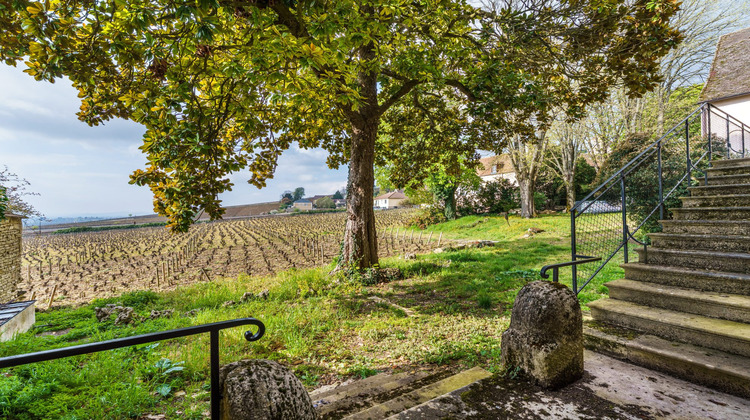 Ma-Cabane - Vente Maison Volnay, 215 m²