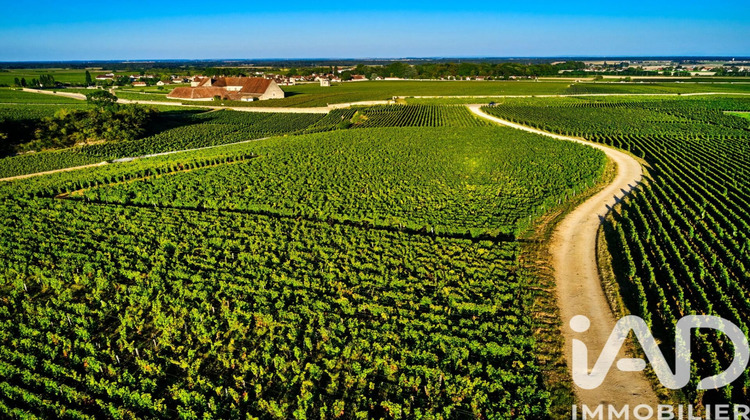 Ma-Cabane - Vente Maison Vougeot, 144 m²