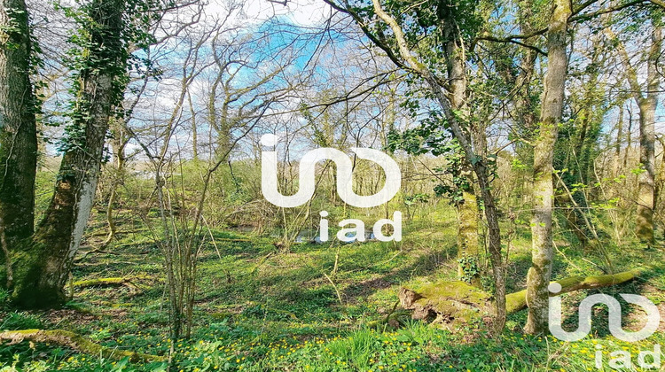 Ma-Cabane - Vente Maison Voulon, 199 m²