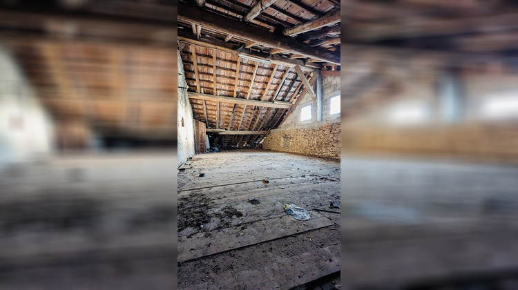 Ma-Cabane - Vente Maison VYT-LES-BELVOIR, 300 m²