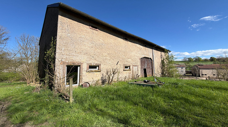 Ma-Cabane - Vente Maison WALDWISSE, 250 m²