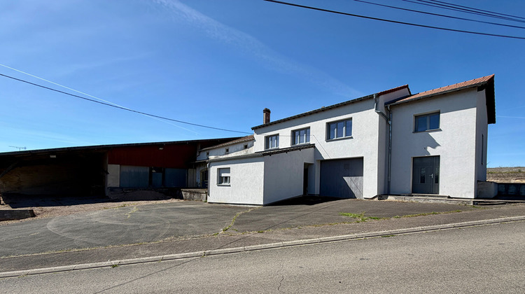 Ma-Cabane - Vente Maison WALDWISSE, 1000 m²