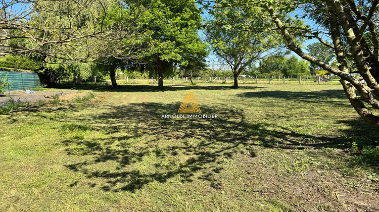 Ma-Cabane - Vente Maison WALLERS, 240 m²