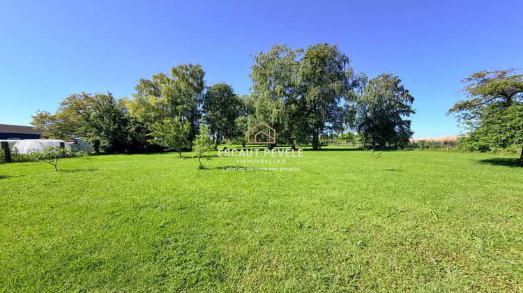 Ma-Cabane - Vente Maison Wallers, 130 m²