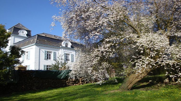 Ma-Cabane - Vente Maison Wargnies-le-Grand, 282 m²