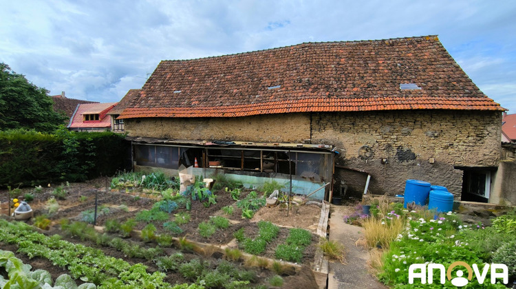 Ma-Cabane - Vente Maison Willgottheim, 115 m²