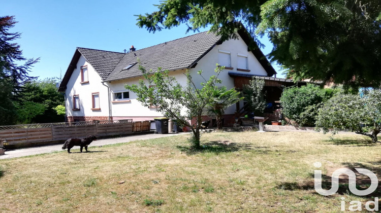 Ma-Cabane - Vente Maison Wimmenau, 170 m²