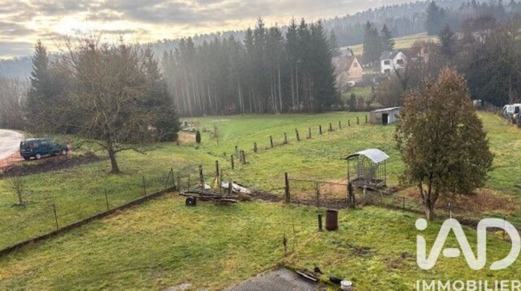 Ma-Cabane - Vente Maison Wimmenau, 251 m²