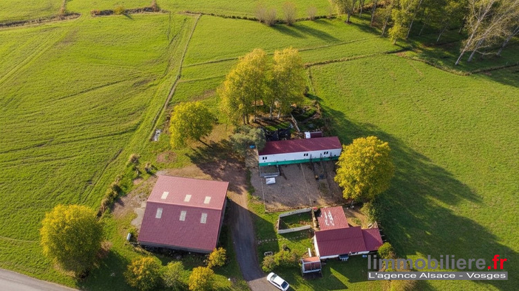 Ma-Cabane - Vente Maison Wisembach, 315 m²