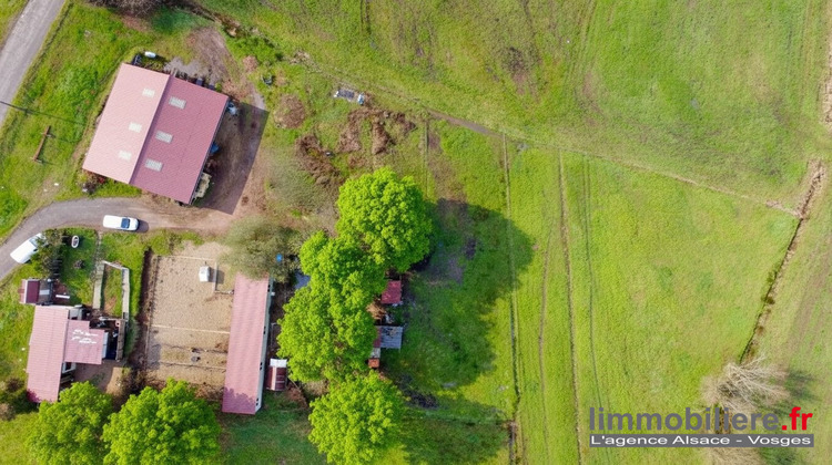 Ma-Cabane - Vente Maison Wisembach, 315 m²