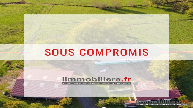 Ma-Cabane - Vente Maison Wisembach, 315 m²
