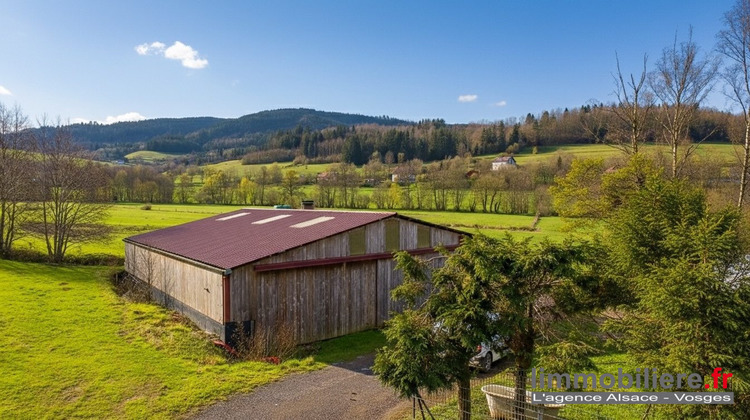 Ma-Cabane - Vente Maison Wisembach, 315 m²