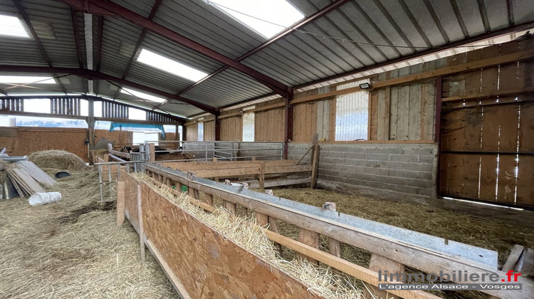 Ma-Cabane - Vente Maison Wisembach, 315 m²