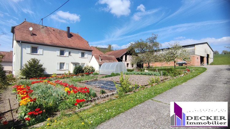 Ma-Cabane - Vente Maison Zinswiller, 162 m²