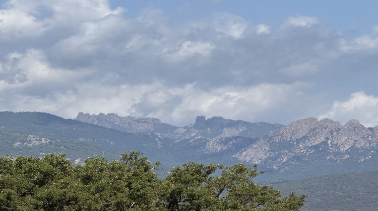 Ma-Cabane - Vente Maison ZONZA, 200 m²