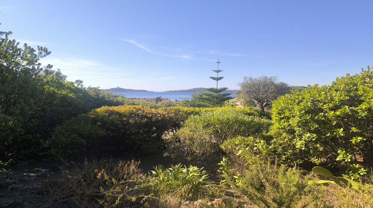 Ma-Cabane - Vente Maison Zonza, 73 m²