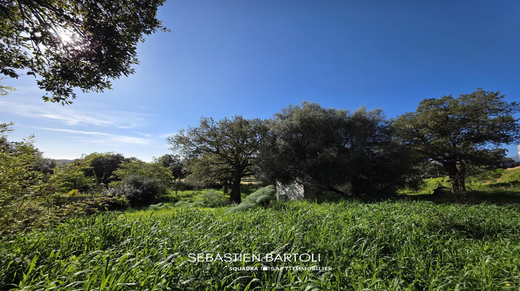 Ma-Cabane - Vente Maison Zonza, 109 m²