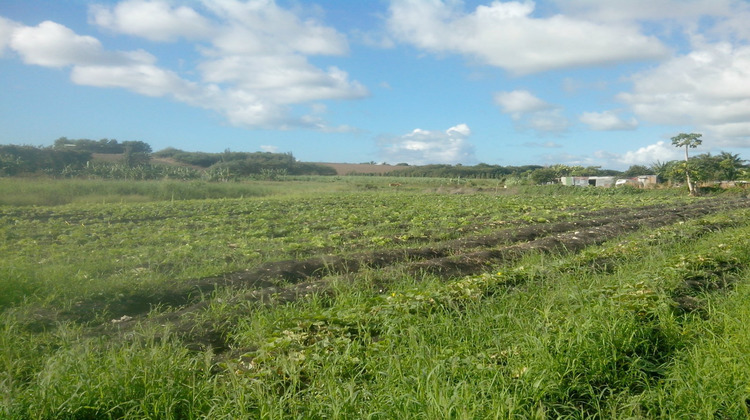 Ma-Cabane - Vente Terrain , 4000 m²