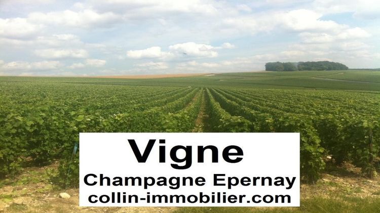 Ma-Cabane - Vente Terrain Épernay, 50 m²