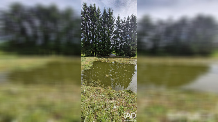 Ma-Cabane - Vente Terrain Épinal, 2703 m²