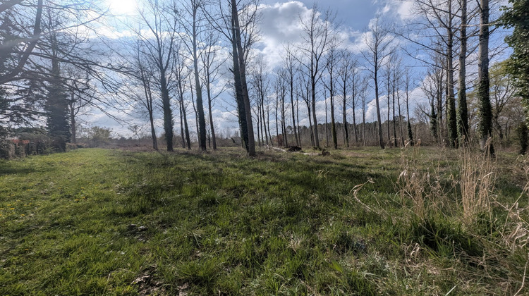 Ma-Cabane - Vente Terrain Étauliers, 8960 m²