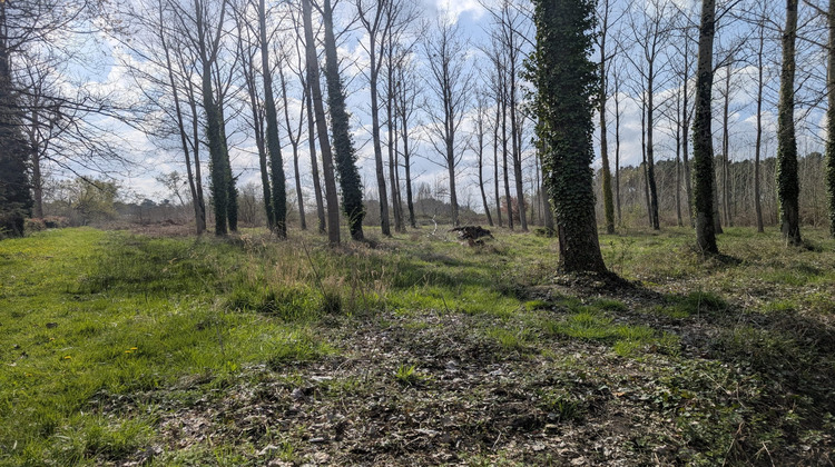 Ma-Cabane - Vente Terrain Étauliers, 8960 m²
