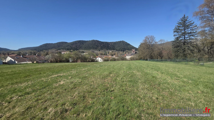 Ma-Cabane - Vente Terrain Étival-Clairefontaine, 6904 m²