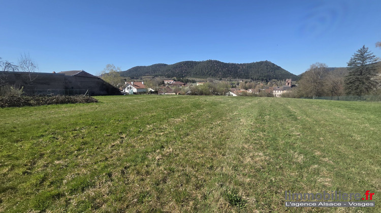 Ma-Cabane - Vente Terrain Étival-Clairefontaine, 6904 m²